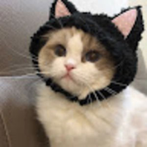 Meet your Posher, Vivi